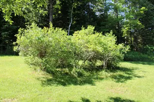 1579 Monroe Rd, Littleton, NH 03561 - Photo 2