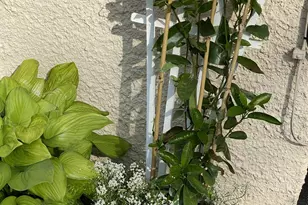 549 West St, Keene, NH 03431 - Photo 36