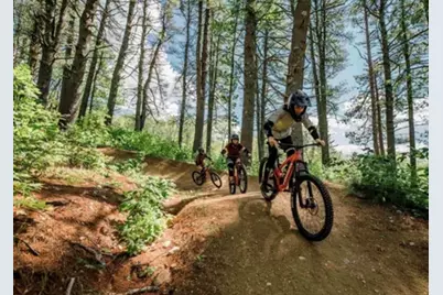 239 Skimobile Road #302, Conway, NH 03860 - Photo 36