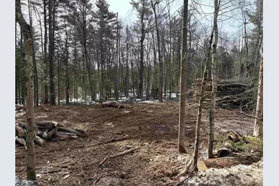 Presidential Drive, Washington, NH 03280 - Photo 1