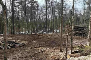 Presidential Dr, Washington, NH 03280 - Photo 1