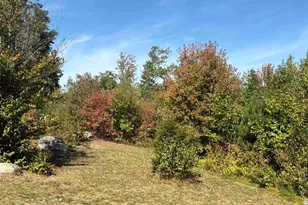 42 E Rd, Greenfield, NH 03047 - Photo 48