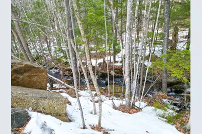 F21 Christmas Mountain Road #F21, Bartlett, NH 03812 - Photo 40