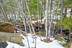 F21 Christmas Mountain Rd, Bartlett, NH 03812 - Photo 40