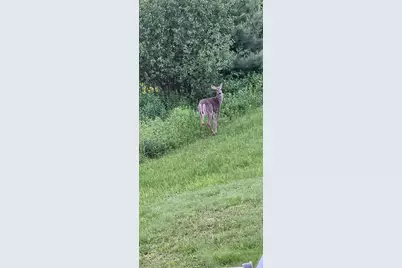 10 Eagle Nest Drive, Franklin, NH 03235 - Photo 36