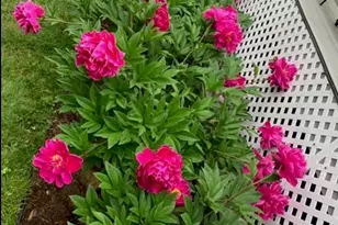 169 Main St, Atkinson, NH 03811 - Photo 44