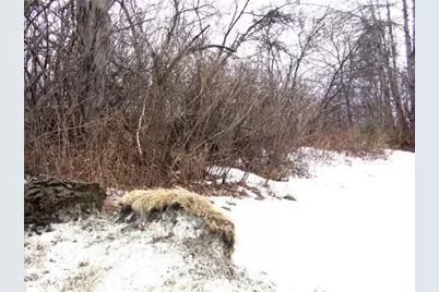 Railroad Street #182, Haverhill, NH 03785 - Photo 6