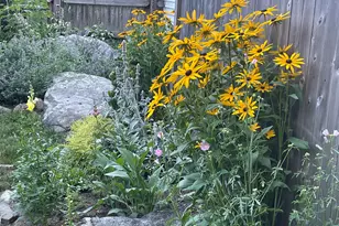 38 Oak St, Milford, NH 03055 - Photo 32