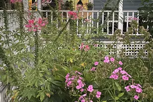 38 Oak St, Milford, NH 03055 - Photo 38