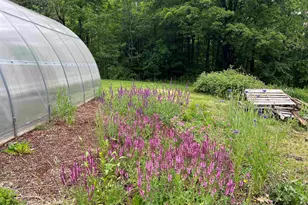 36 River St, Greenville, NH 03048 - Photo 52