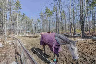 8 Poor Farm Rd, Brookline, NH 03033 - Photo 50