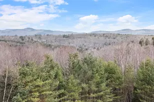 155 Top of the World Rd, Grantham, NH 03753 - Photo 44