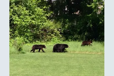 4 Wasserman Heights, Merrimack, NH 03054 - Photo 38