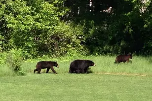 4 Wasserman Heights, Merrimack, NH 03054 - Photo 38