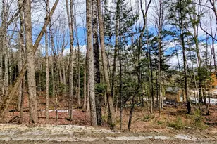 Lot 258 Kearsarge Dr, Haverhill, NH 03785 - Photo 1