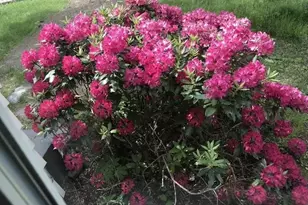 33 Joffre St, Concord, NH 03301 - Photo 26