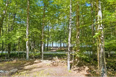 77 Wild Acre Drive, Washington, NH 03280 - Photo 6