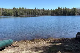 77 Wild Acre Dr, Washington, NH 03280 - Photo 2