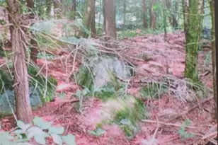 107-11 1 Wood Lot Ln, Stoddard, NH 03464 - Photo 1