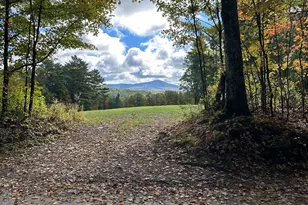 386 Old Chesham Rd, Marlborough, NH 03455 - Photo 6