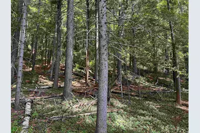 00 Lake Hill Road, Whitingham, VT 05361 - Photo 8