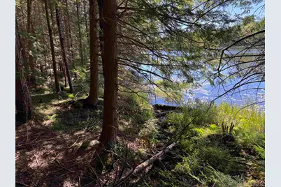 00 Lake Hill Road, Whitingham, VT 05361 - Photo 6