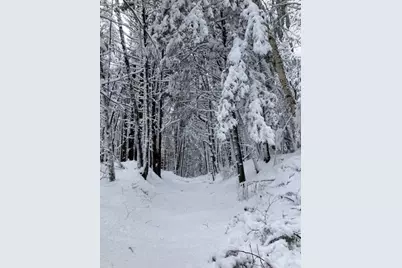 75 Clark Mill Road, Weare, NH 03281 - Photo 58