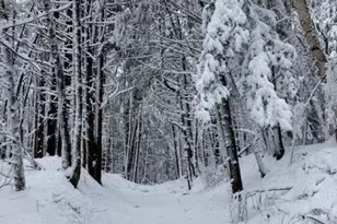 75 Clark Mill Rd, Weare, NH 03281 - Photo 58