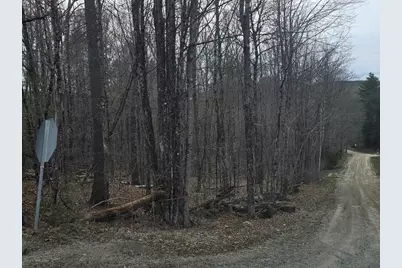 Copeland Road, Unity, NH 03603 - Photo 2