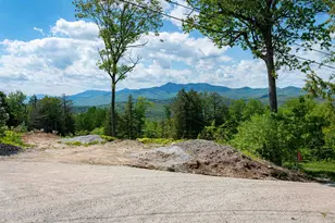 84 Cormack Dr, Madison, NH 03849 - Photo 18