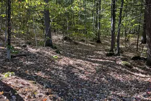 829 Bearcamp Hwy &amp 10 Mountain Rd, Tamworth, NH 03883 - Photo 18