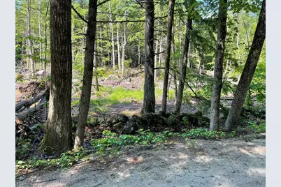 00 Beard Road, Hillsboro, NH 03244 - Photo 2