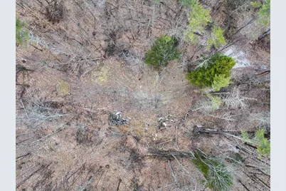 Tbd McConnell Road, Brandon, VT 05733 - Photo 10