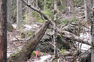 00 Rogers Rd, Alstead, NH 03602 - Photo 1