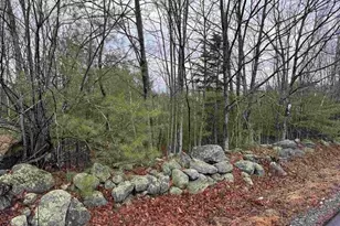 Tbd Mason Rd, Milton, NH 03851 - Photo 1