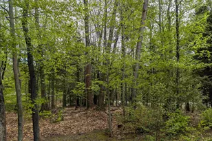 11 Cascade Dr, Woodstock, NH 03262 - Photo 40