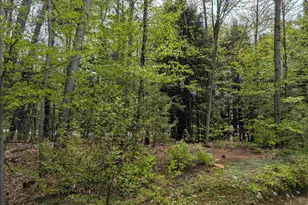 11 Cascade Dr, Woodstock, NH 03262 - Photo 38