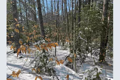 224 Valley Road, Ossipee, NH 03814 - Photo 8