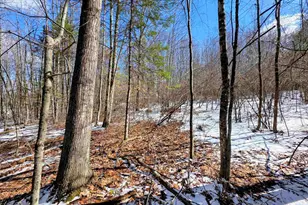 0 Gile Rd, Franklin, NH 03235 - Photo 1