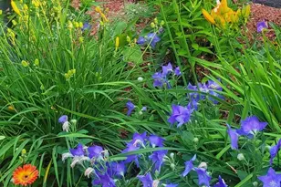 15 Edgewood Dr, Hopkinton, NH 03229 - Photo 22