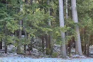 1 Shady Ln, New Hampton, NH 03256 - Photo 1