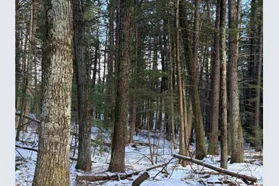 1 Shady Lane #1, New Hampton, NH 03256 - Photo 6