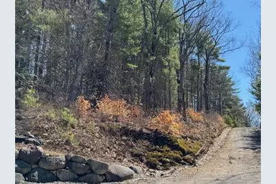 Lot 185 Nutter Drive #Map 71, Lot 185, Alton, NH 03809 - Photo 2