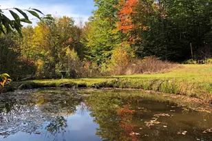 487 Shackford Corner Rd, Barnstead, NH 03225 - Photo 34