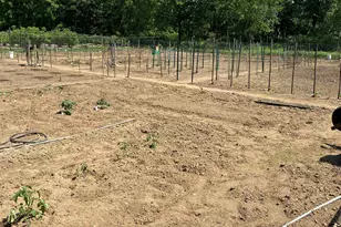 11 Blueberry Ln, East Kingston, NH 03827 - Photo 38