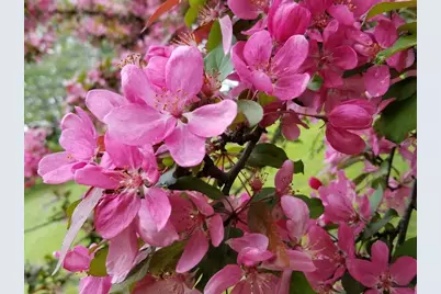 11 Bryant Lane, Enfield, NH 03748 - Photo 28