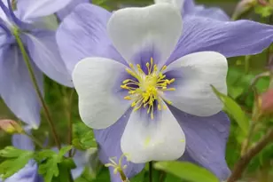 11 Bryant Ln, Enfield, NH 03748 - Photo 36