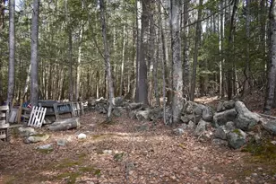 411 Mont Vernon Rd, Milford, NH 03055 - Photo 50