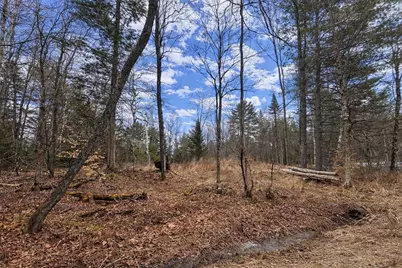 354 Lakeside Drive, Haverhill, NH 03785 - Photo 6