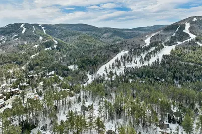 31 Crawford Hills Road #31, Bartlett, NH 03812 - Photo 50